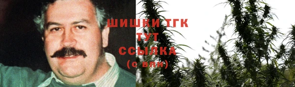 индика Вязьма
