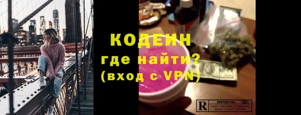 индика Вязьма