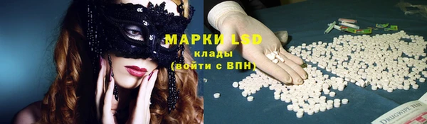 индика Вязьма