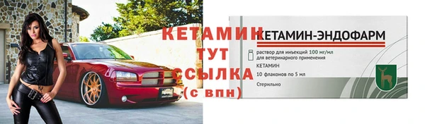 индика Вязьма