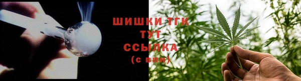 PSILOCYBIN Верхний Тагил