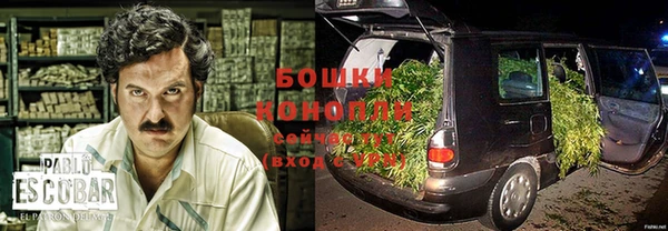 ПСИЛОЦИБИНОВЫЕ ГРИБЫ Сосновка