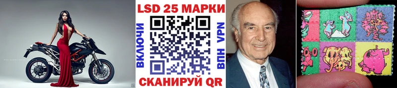 MEGA   Жуков  дарк нет Telegram  Марки 25I-NBOMe 1,8мг 